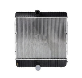 Radiador Navistar Series 4200 1997 1998 1999 2000 2001 2002 2003 2004 2005 2006 2007 2008 2009