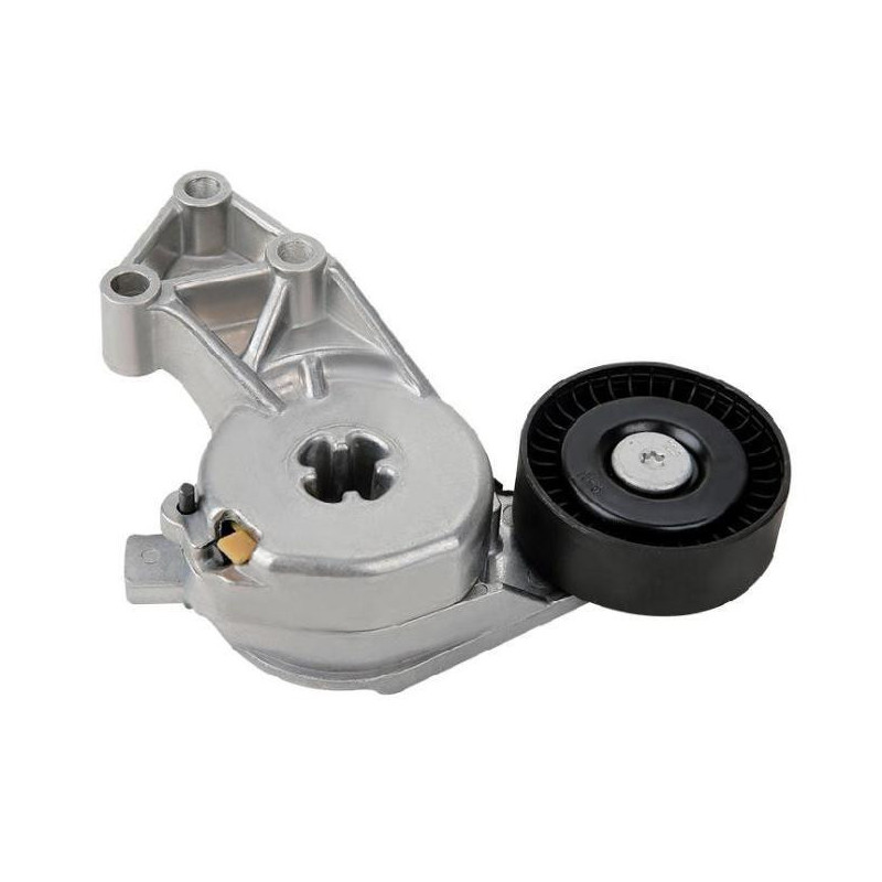 Tensor De Accesorios Audi Tt 2000-2006 Motor L4 1.8L