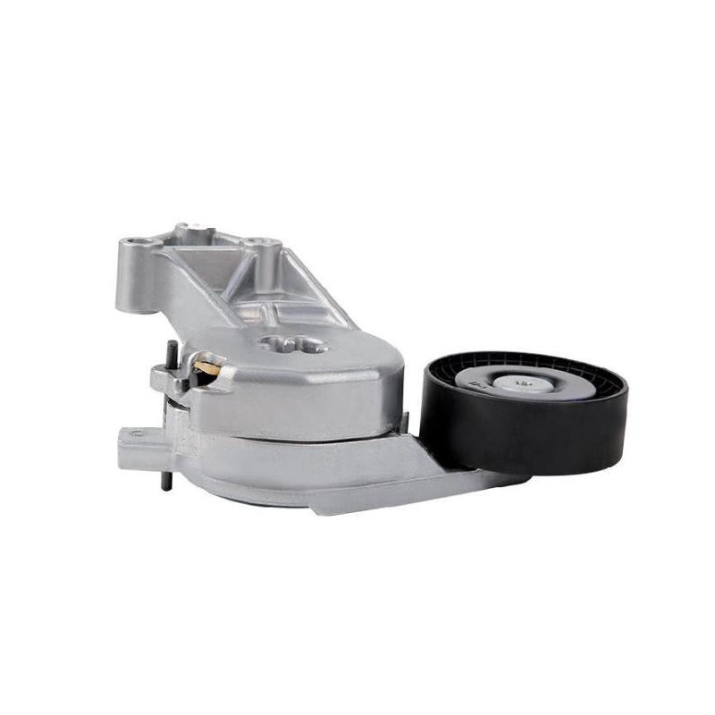 Tensor De Accesorios Audi Tt 2000-2006 Motor L4 1.8L