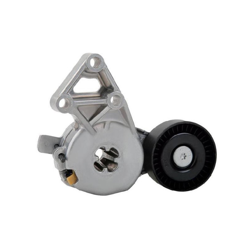 Tensor De Accesorios Audi Tt 2000-2006 Motor L4 1.8L