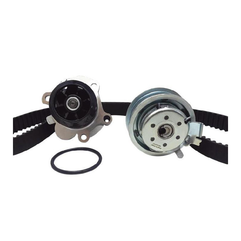 Kit De Banda De Distribución Seat Cordoba 2004-2009 Motor L4 2.0L