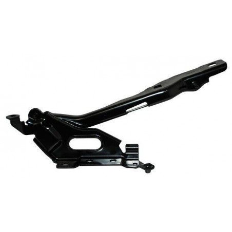Bisagra cofre ford pu 15-17 der
